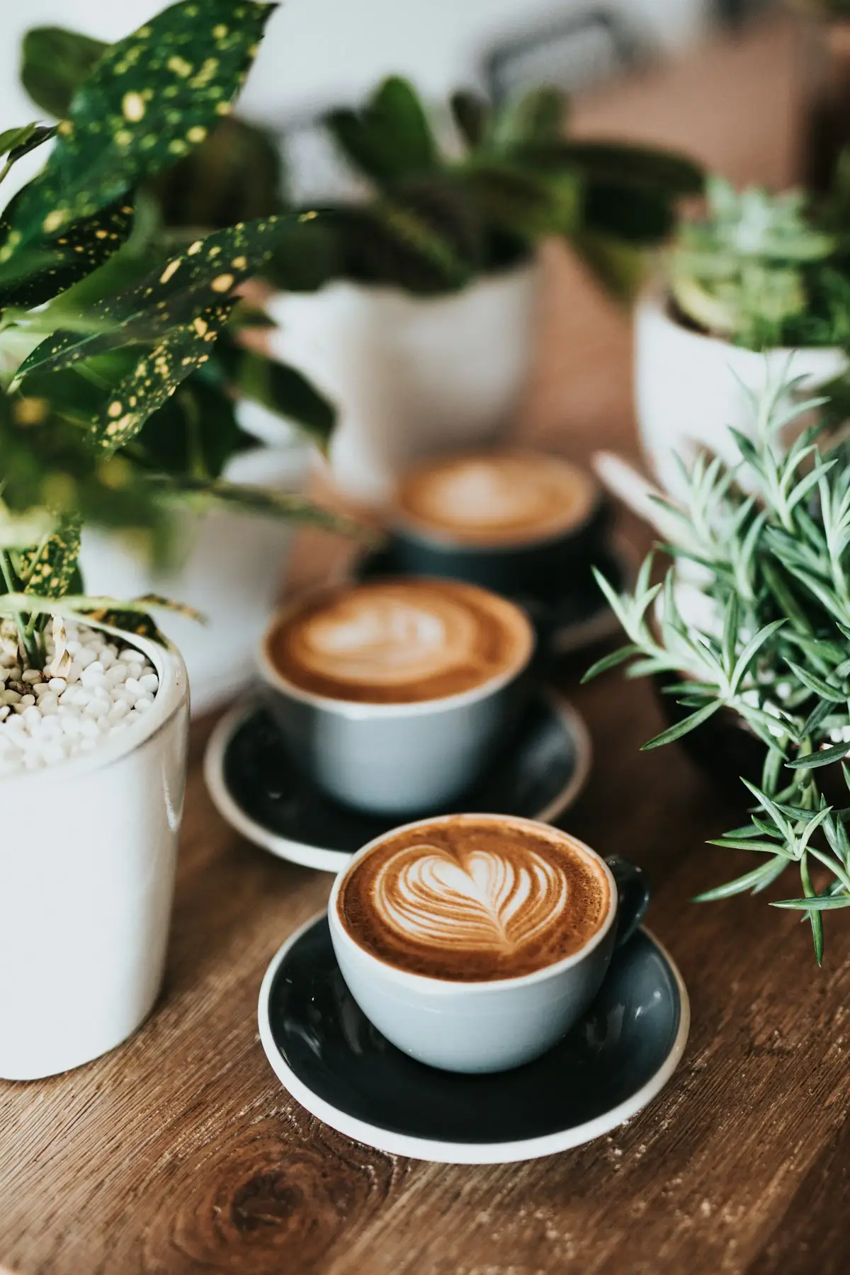Morning latte